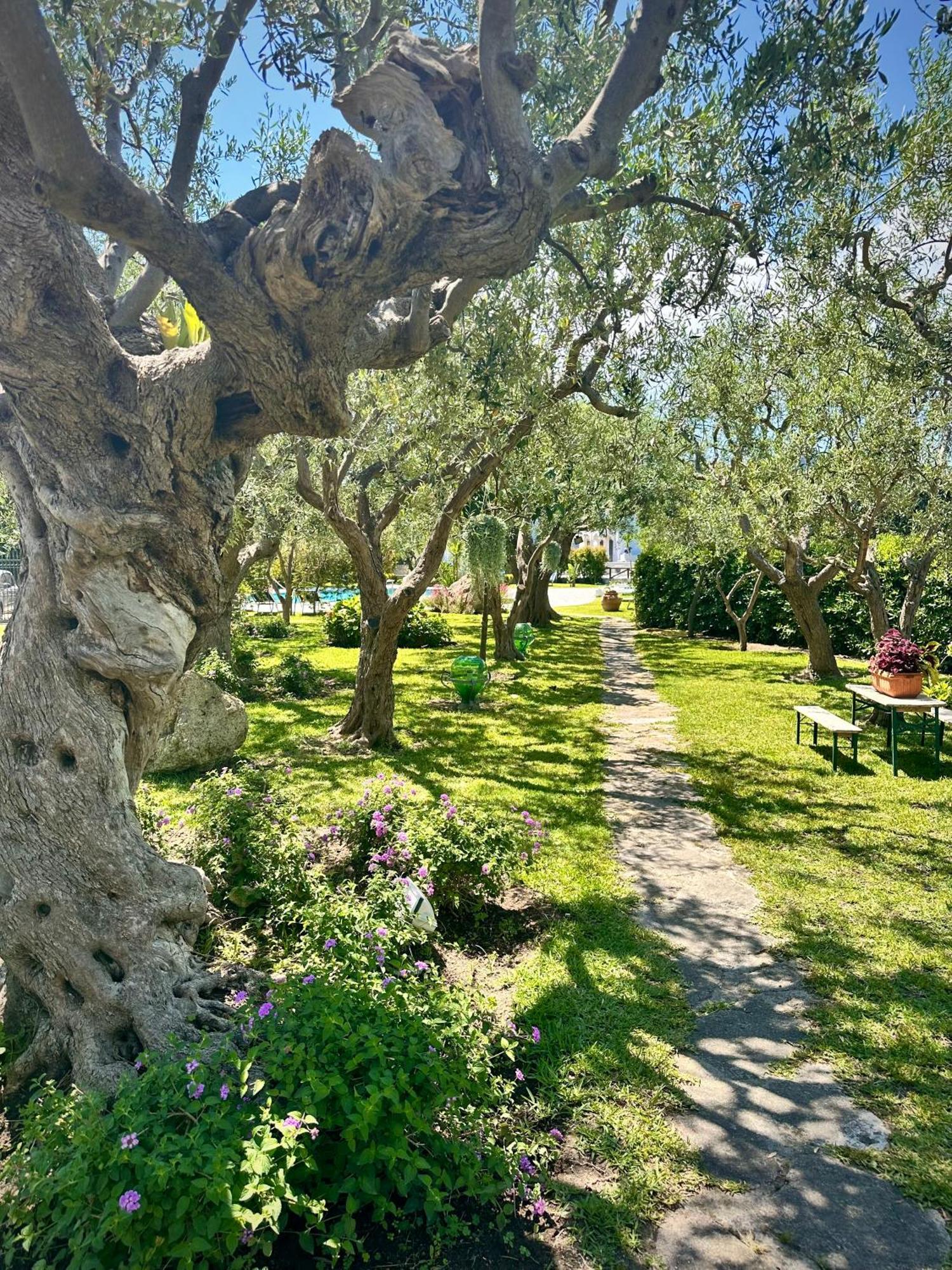 Hotel Boutique Ischia Exterior foto