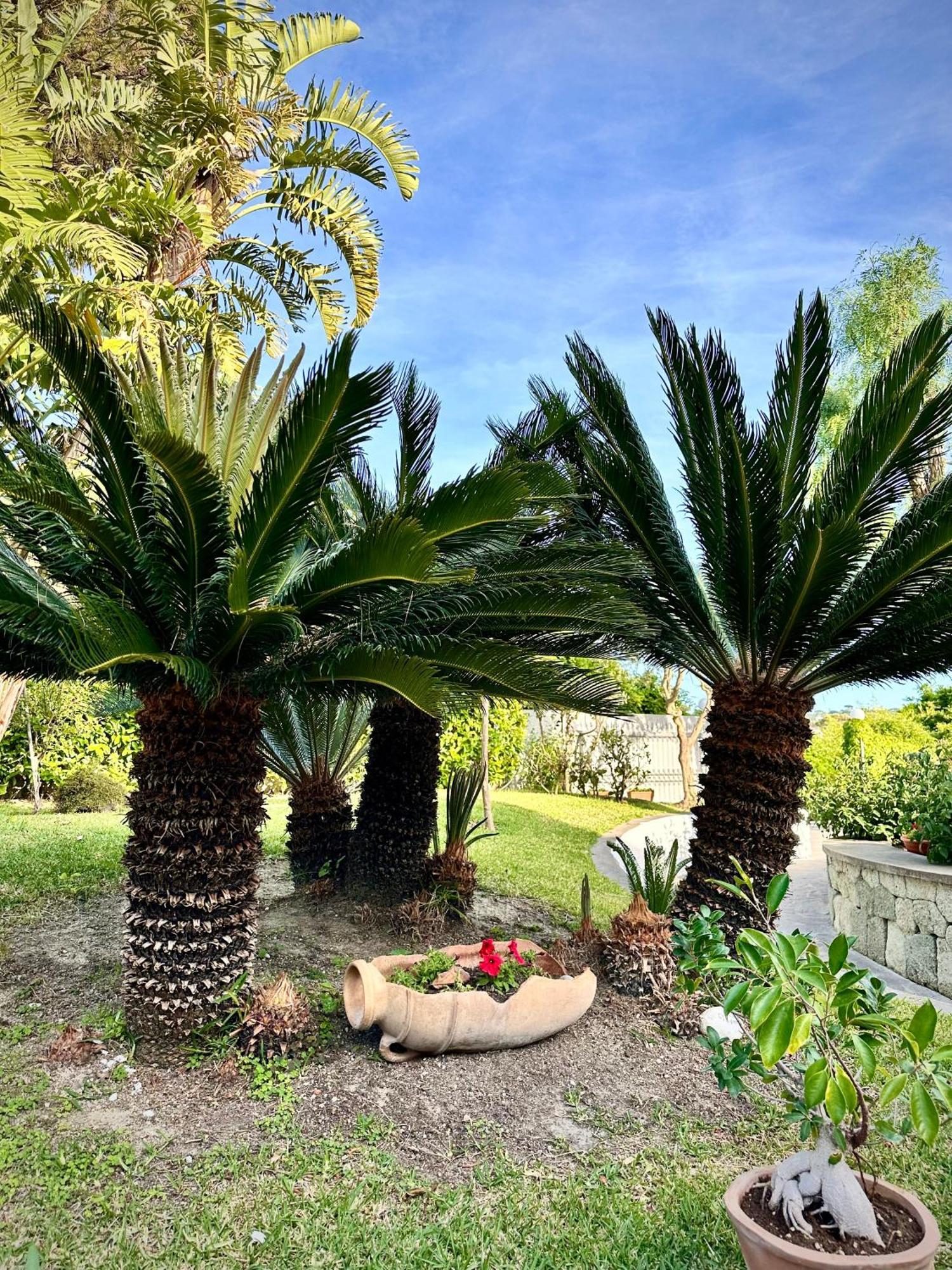 Hotel Boutique Ischia Exterior foto
