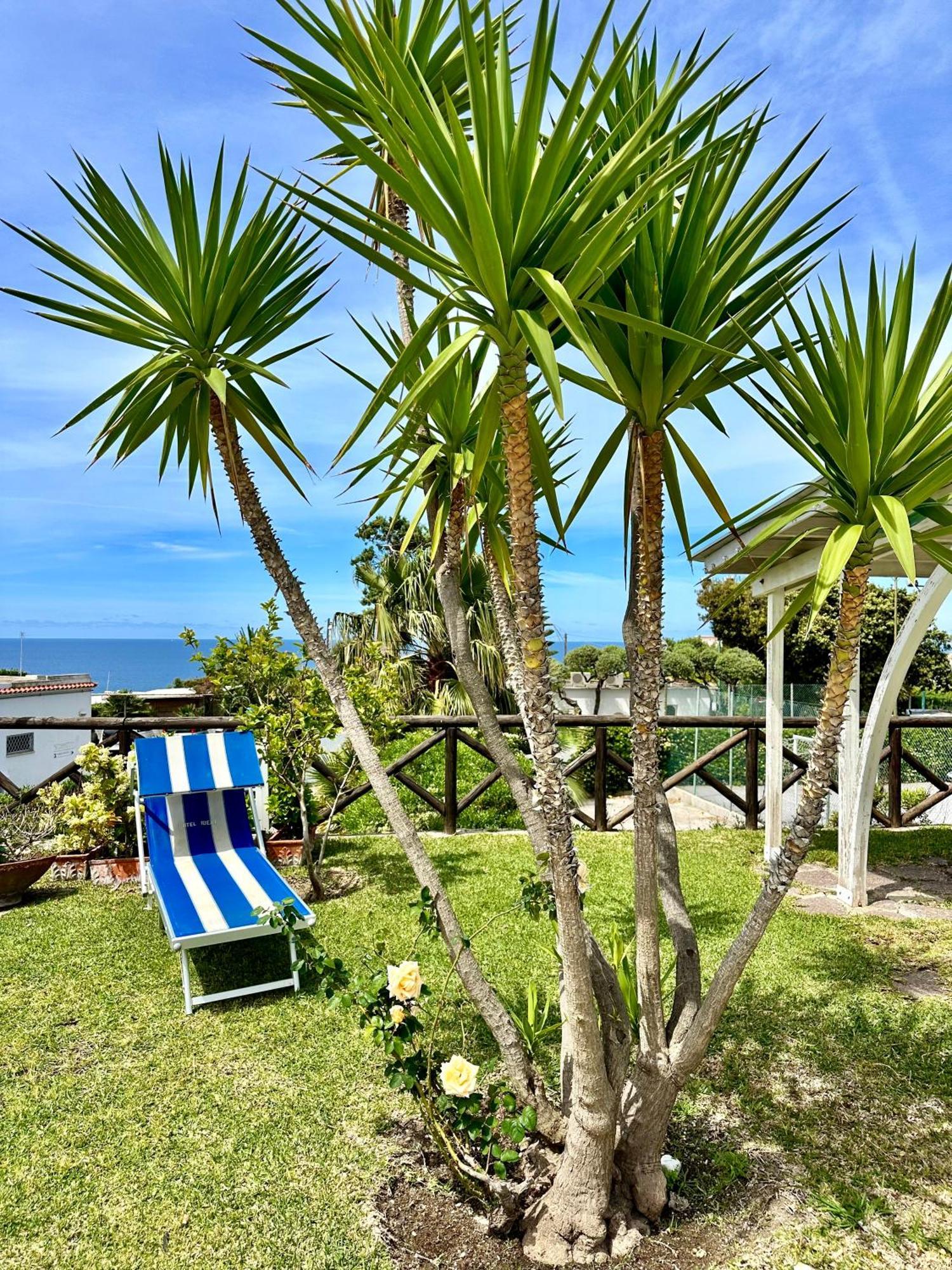 Hotel Boutique Ischia Exterior foto
