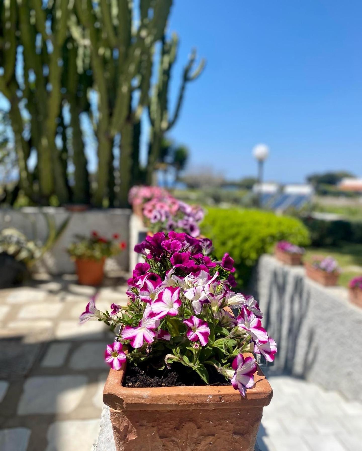 Hotel Boutique Ischia Exterior foto